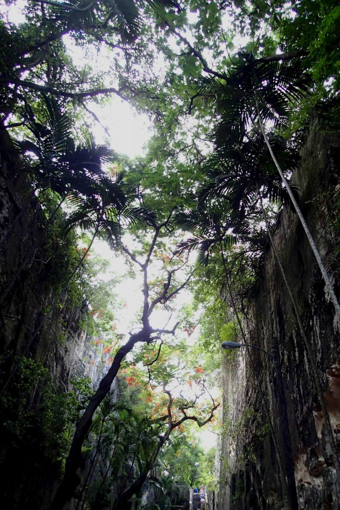 The Queen's Staircase is a highlight of Nassau, Bahamas, and it's free to boot!