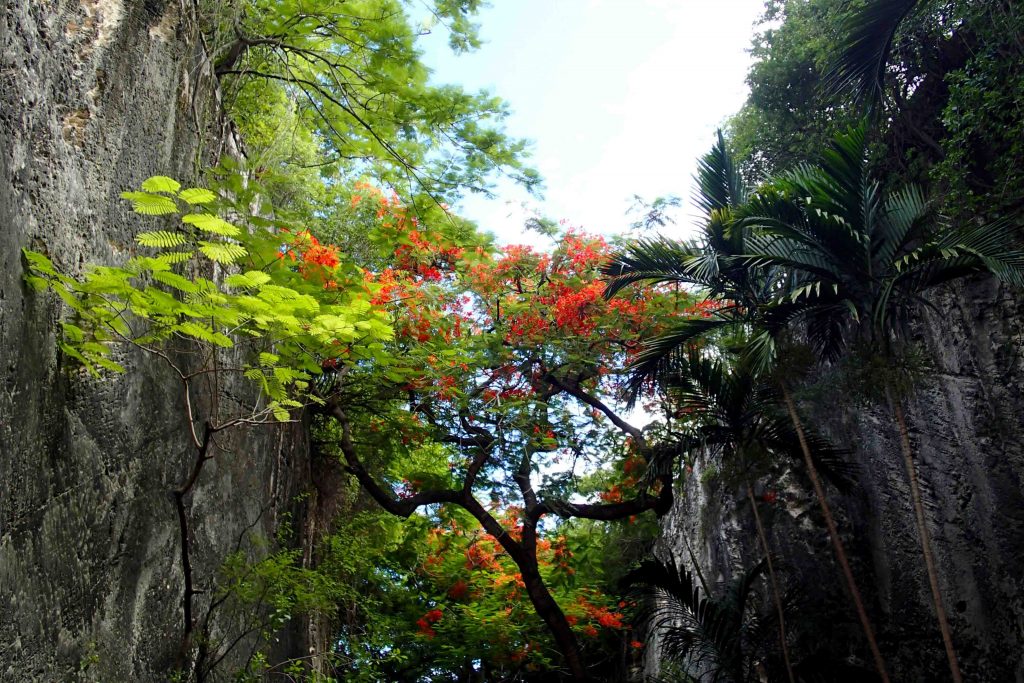 The Queen's Staircase is a highlight of Nassau, Bahamas, and it's free to boot!
