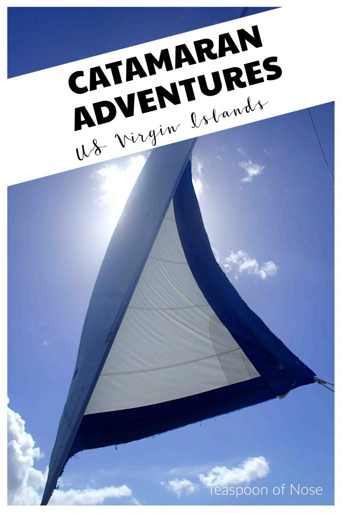 The U.S. Virgin Islands are stunning and 100% worth a visit! | Teaspoon of Nose