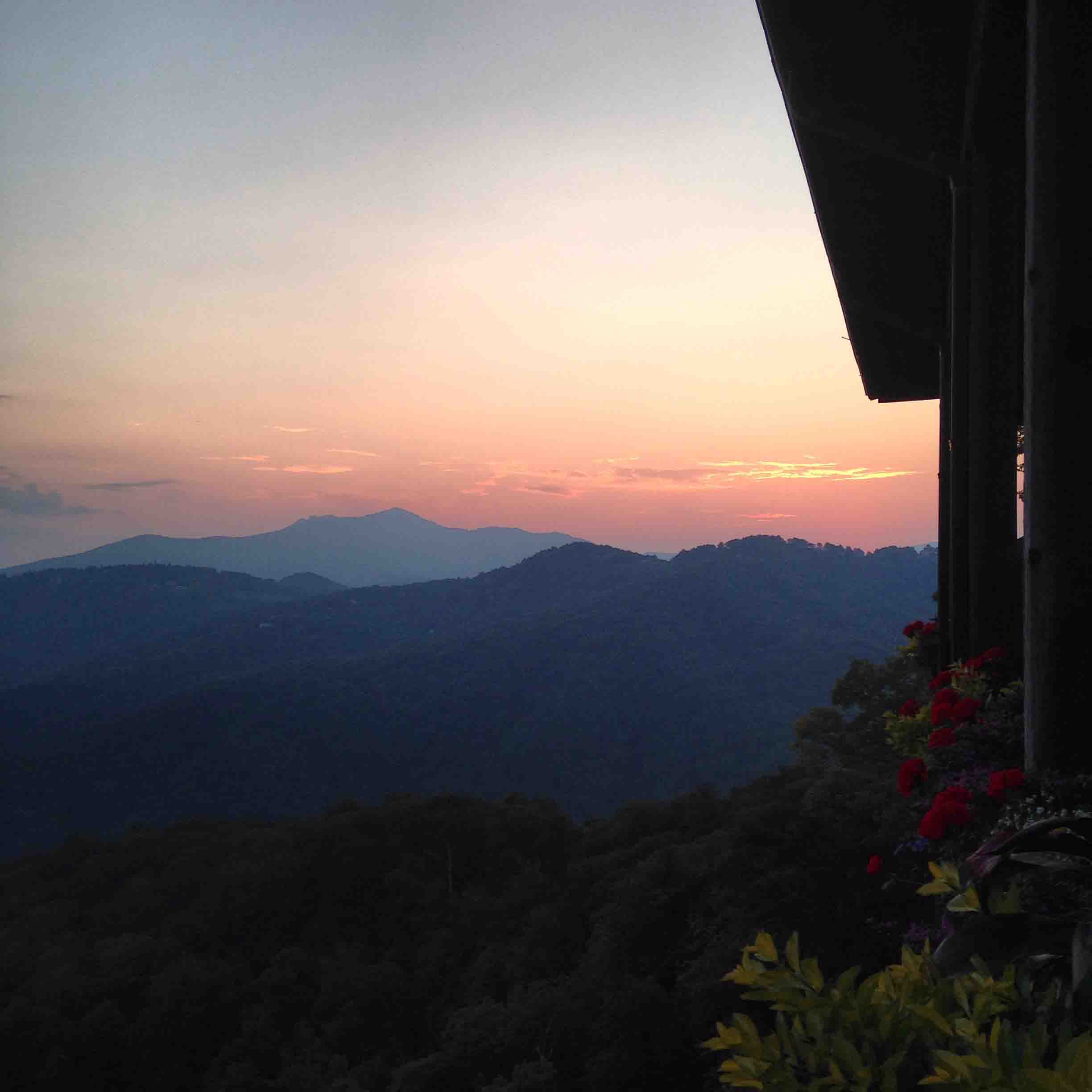 Photo a day 2015 challenge still going strong!