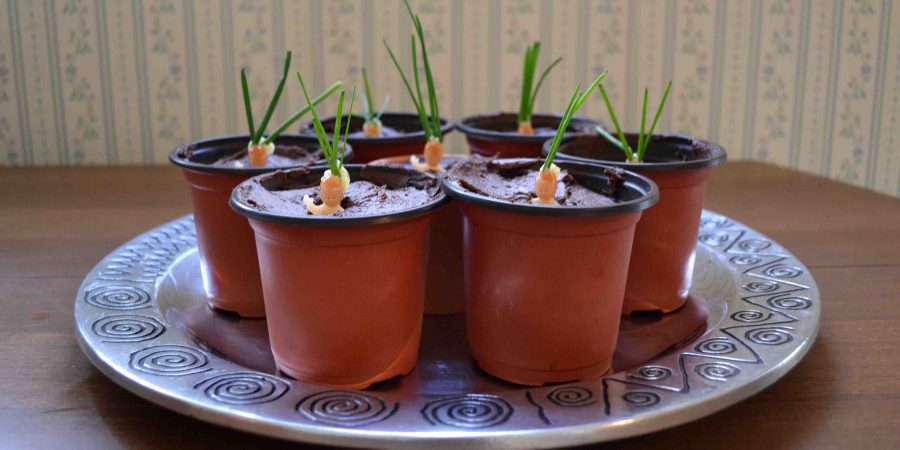 Making Mandrake cakes for a halloween Harry Potter party!