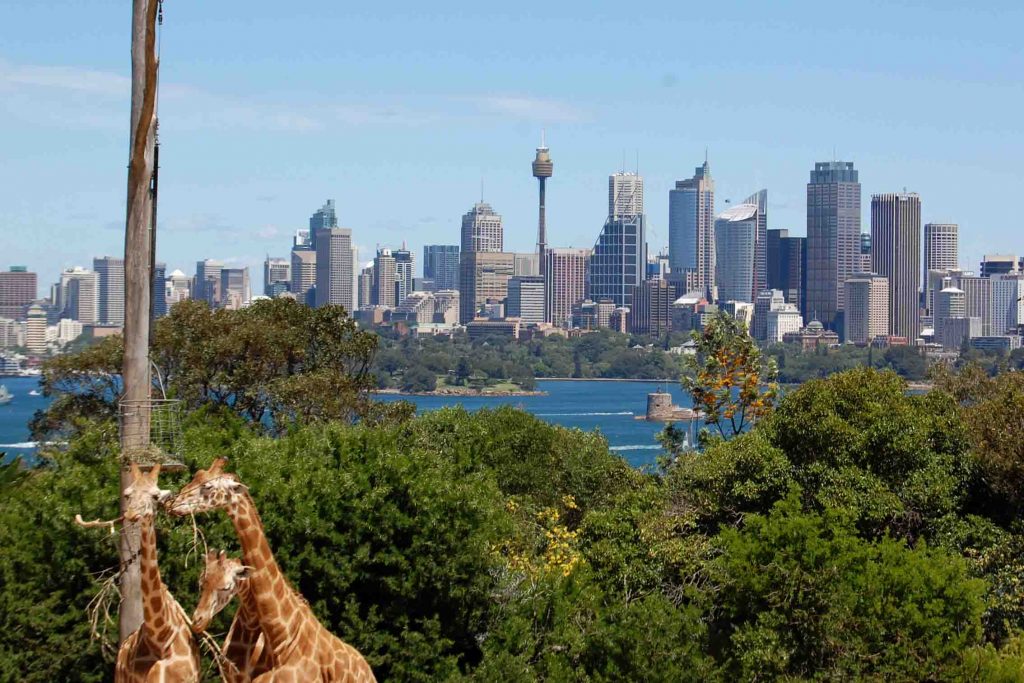 Sydney is one of my favorite places in the whole world! Check out my top 10 favorite things about living in the city. | Teaspoon of Nose