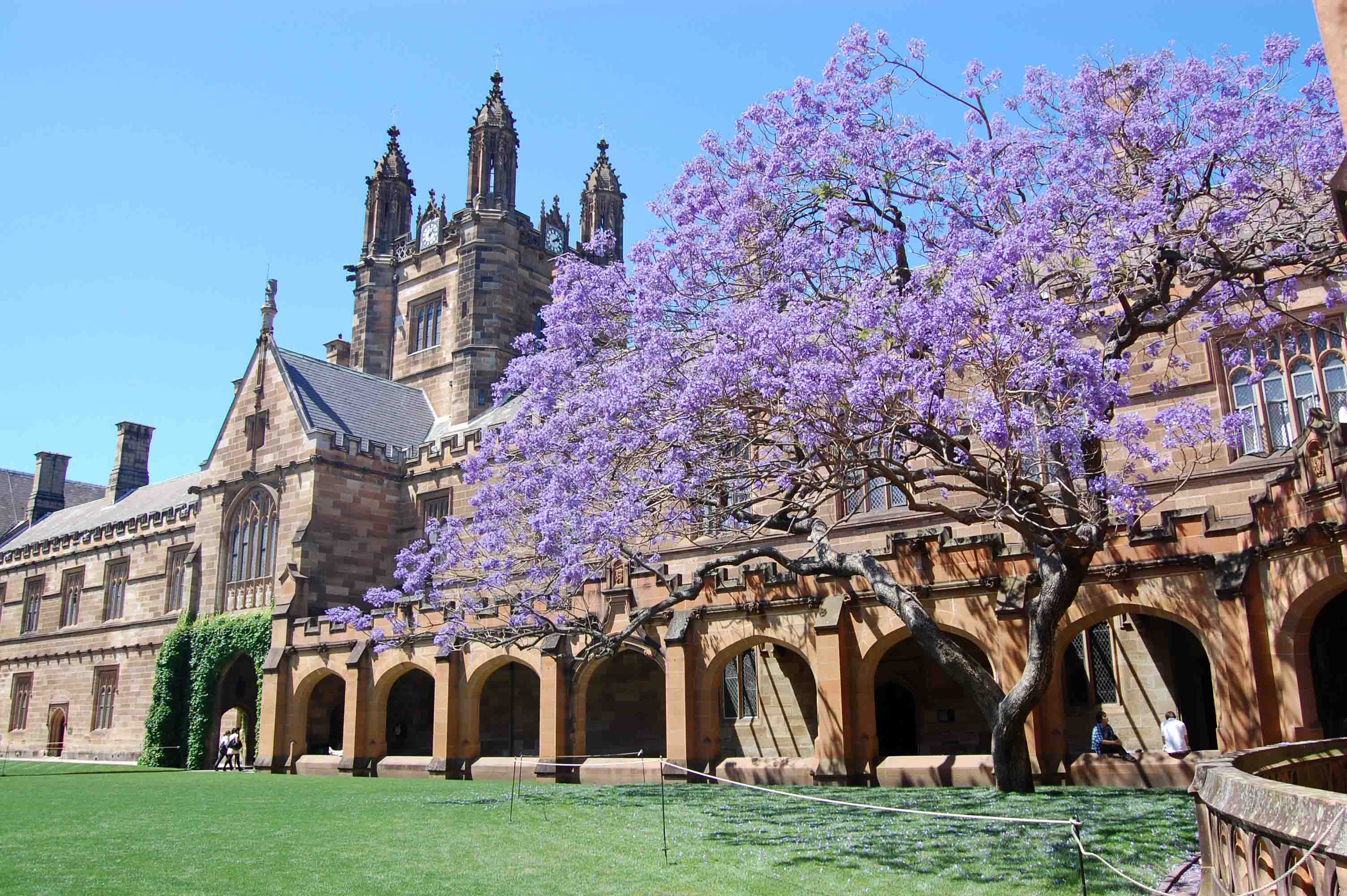 Sydney is one of my favorite places in the whole world! Check out my top 10 favorite things about living in the city. | Teaspoon of Nose