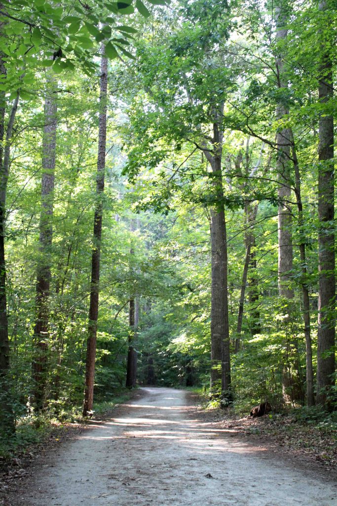 The Al Buehler Trail on Duke's campus is the perfect running trail or a calming walk with a friend.