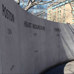 The memorial to Japanese-American Patriotism is a moving and seriously underrated DC site.