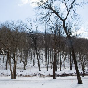 Snow in D.C. is beautiful and makes any visit better!