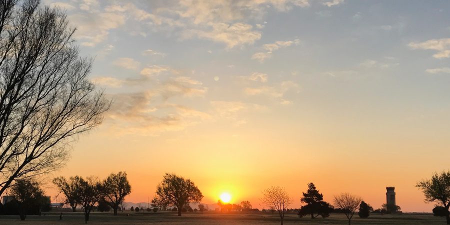 A few snippets of life in Altus! | Teaspoon of Nose