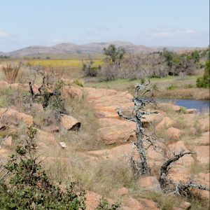 Secret Oklahoma hiking spots are the best! Check out the Wichita Mountains Wildlife Refuge for Oklahoma's biggest gorge and beautiful scenery.