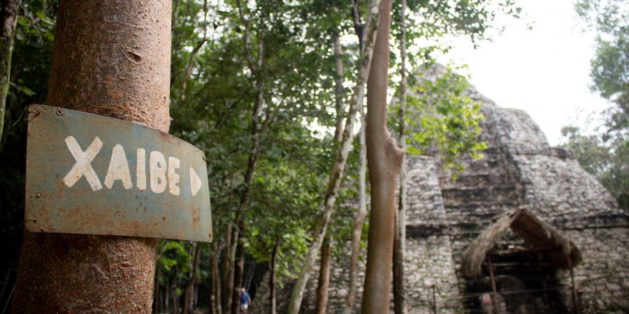 Seeing the Mayan pyramids is a MUST if you're visiting Playa del Carmen or Cancun! Here's a few essentials to know before you go. | Teaspoon of Nose