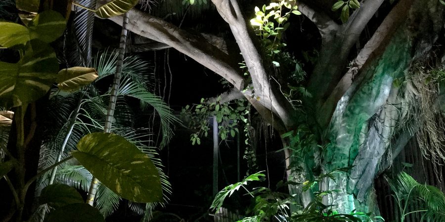 A few of my favorite Playa del Carmen restaurants! Just a short drive from Cancun and definitely worth including in your Mexican vacation! | Teaspoon of Nose