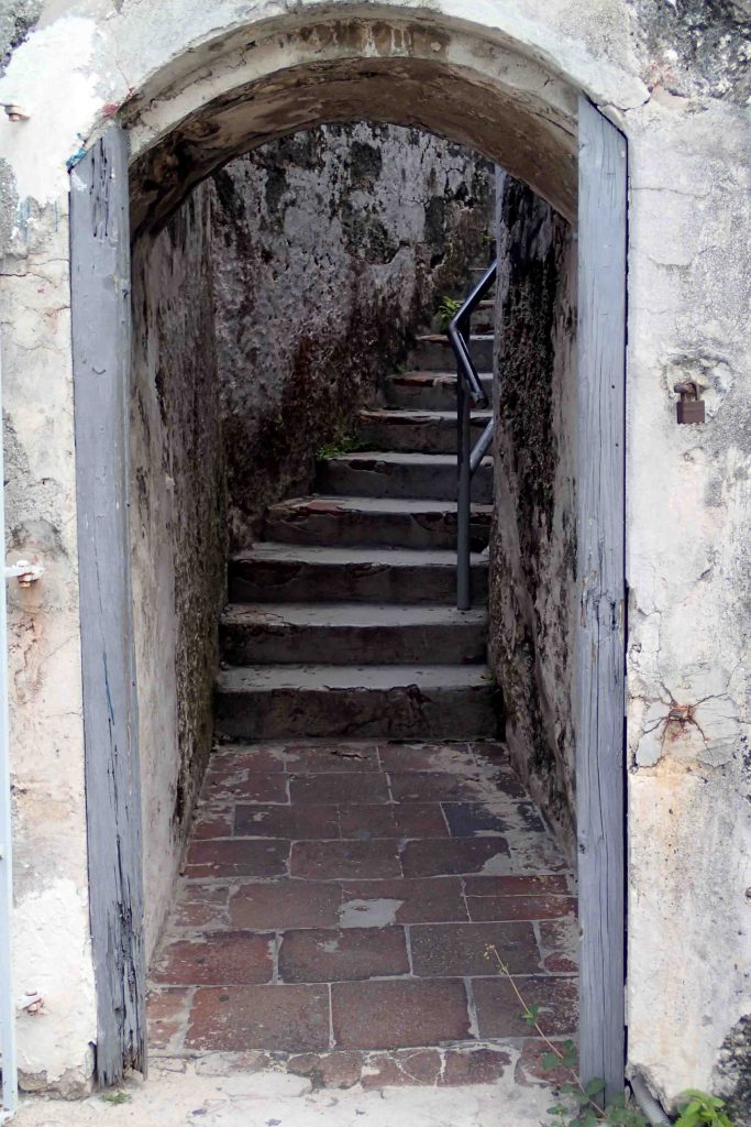 Free things to do in Nassau, Bahamas | Teaspoon of Nose