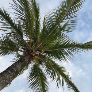 Things to do in Playa del Carmen