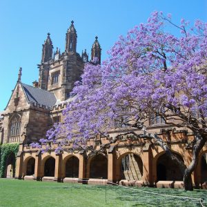 Sydney is one of my favorite places in the whole world! Check out my top 10 favorite things about living in the city.