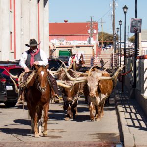 What's better than exploring a new city? Exploring it without spending any money!! Here are a few free things to do in Fort Worth, Texas. 