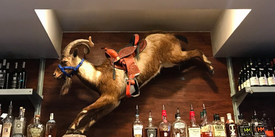 Fort Worth and Dallas have awesome restaurants! Here's a few food finds you don't want to miss! | Teaspoon of Nose