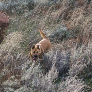 Our closest hiking spot is Quartz Mountain, which is rustic and beautiful!
