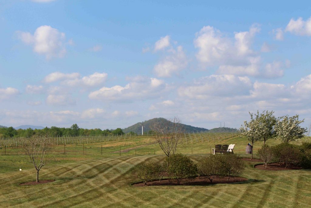 Celebrating Laura's bachelorette weekend with a Virginia winery weekend! | Teaspoon of Nose