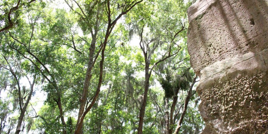 A vacation to Hilton Head Island is an idyllic little getaway!  | Teaspoon of Nose