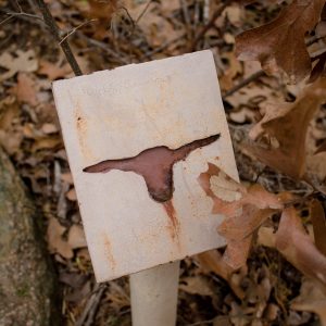 If you're looking for a short hike in the Wichita Mountains Wildlife Refuge, try the Longhorn and Elk trails!