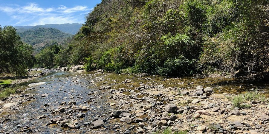 There's more to do in Puerto Vallarta than just lying by the beach. Check out my recommendations for excursions and day trips! | Teaspoon of Nose