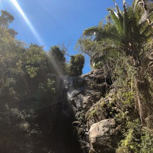 There's more to do in Puerto Vallarta than just lying by the beach. Check out my recommendations for excursions and day trips!