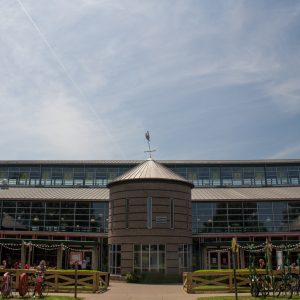 How to Spend a Summer Weekend in Nashville!