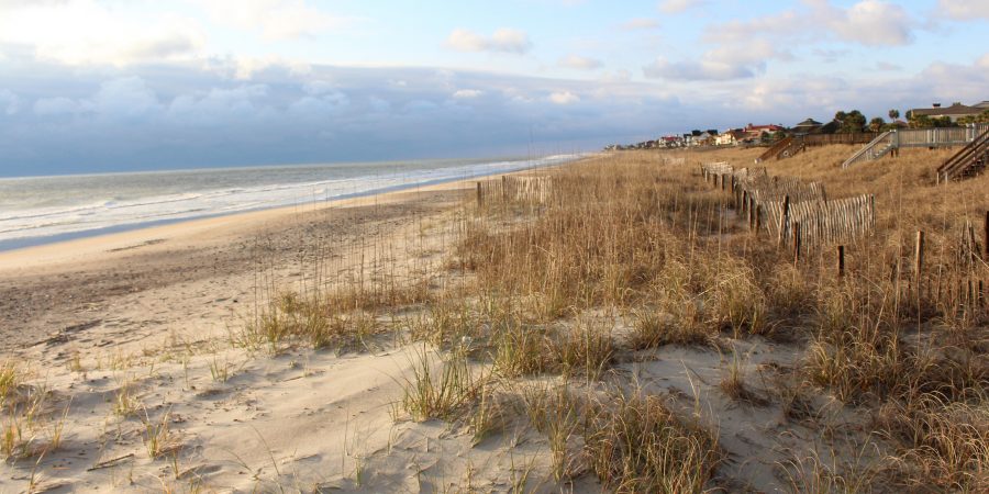 Summertime is the perfect season for adventures - here's a summer bucket list! | Teaspoon of Nose