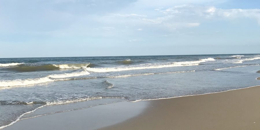 Corolla is a cute beach town in North Carolina's Outer Banks, and is totally worth a visit! | Teaspoon of Nose