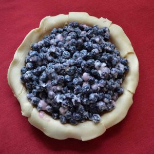 Blueberry pie is the most-baked pie in our house!