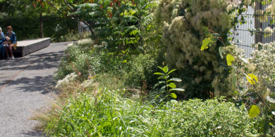 If you're looking for a more "local" feel for New York City, you should 100% check out the West Village! All the local vibes with cheaper accommodation and so much fun! | Teaspoon of Nose