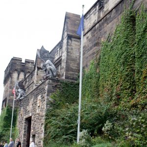 Philly is SUCH a fun city to explore! Whether on your own or with friends, there are so many things to do in a weekend in Philadelphia. Here are a few of my favorites!