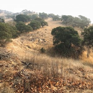 No trip to northern California is complete without exploring Napa Valley and Sonoma County. Here's how to maximize a day trip!