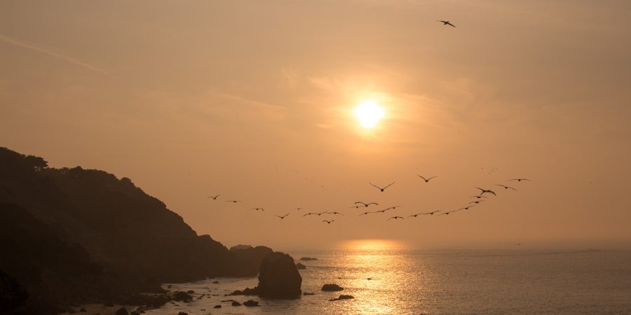 There are about 53879592 San Francisco neighborhoods, each with their own character and feel. These are the ones you don't want to miss on your next trip!