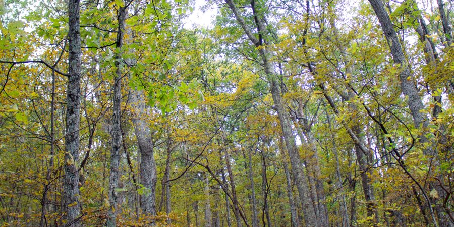 Deployment is long, and having a deployed spouse is hard and weird and strange. The first few months are tough in a different way than the last few.