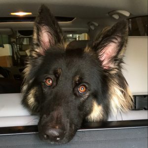 Deployment is long, and having a deployed spouse is hard and weird and strange. The first few months are tough in a different way than the last few.