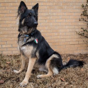 Big news on our next military assignment!