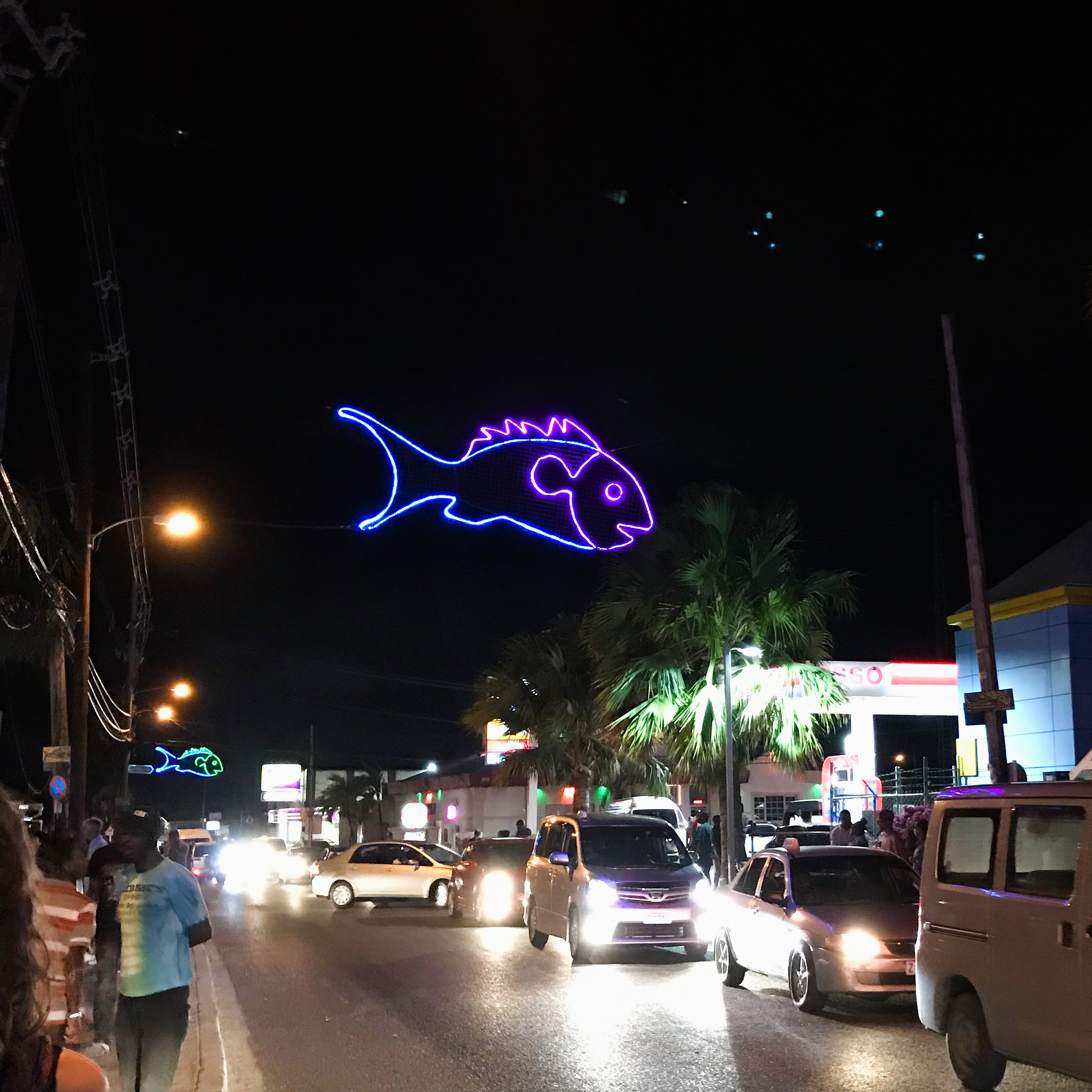 If you're planning a trip to Barbados, you have to do one thing in particular. And no, it's not snorkeling or working on your tan or even trying the rum!