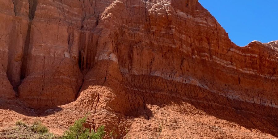 Once famously called "the best kept secret in Texas," Palo Duro Canyon State Park makes a perfect hiking trip destination!