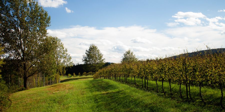 travel solo Virginia