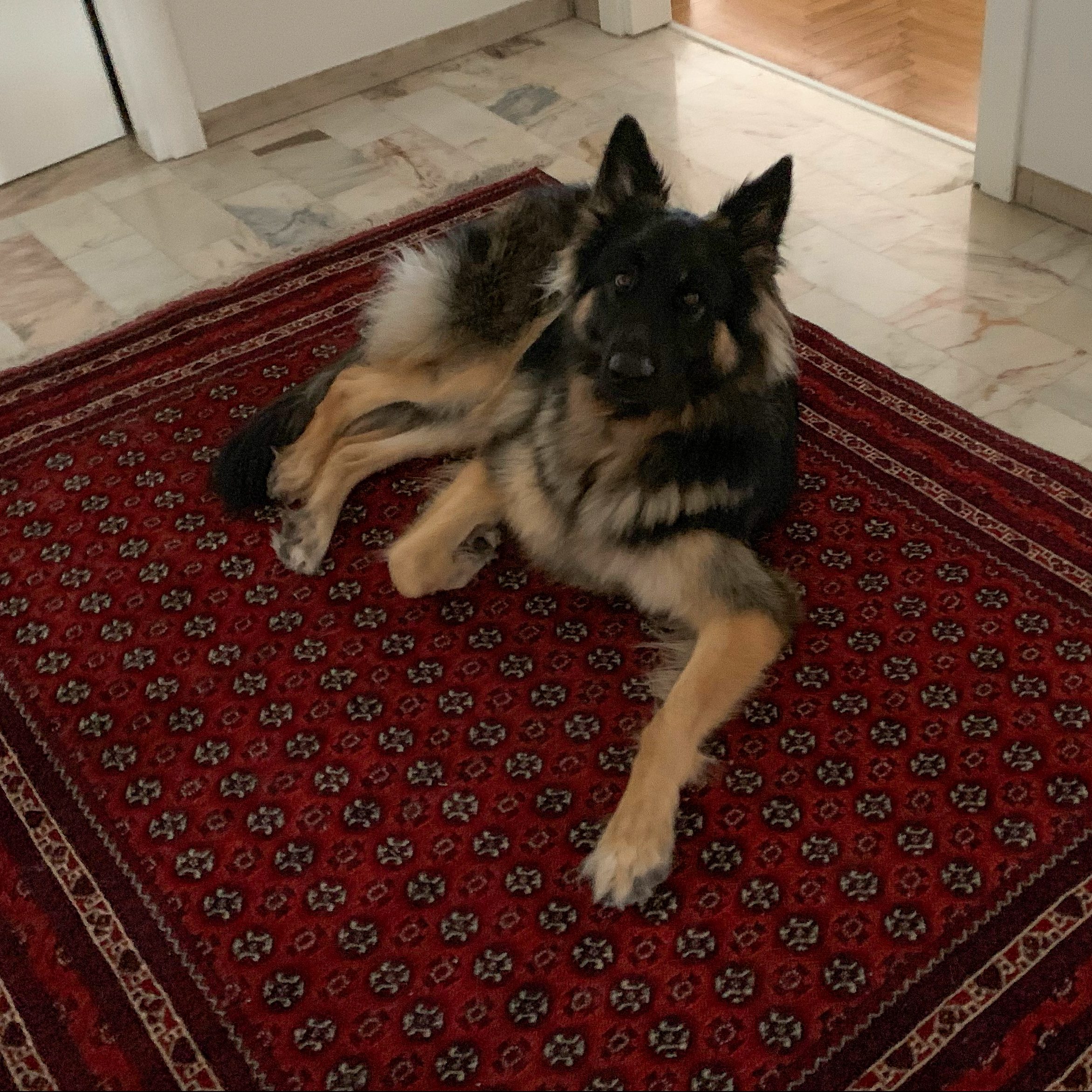 Our Italian apartment | Where's Emma Now