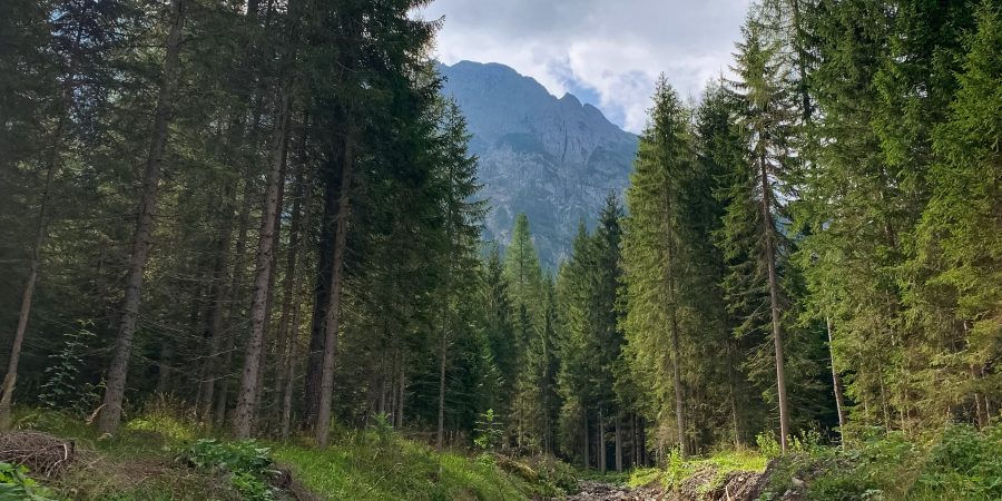 The Dolomites may be most known for skiing, but they're excellent for hiking in the off-season! Today I'm sharing a favorite trail we tried recently.