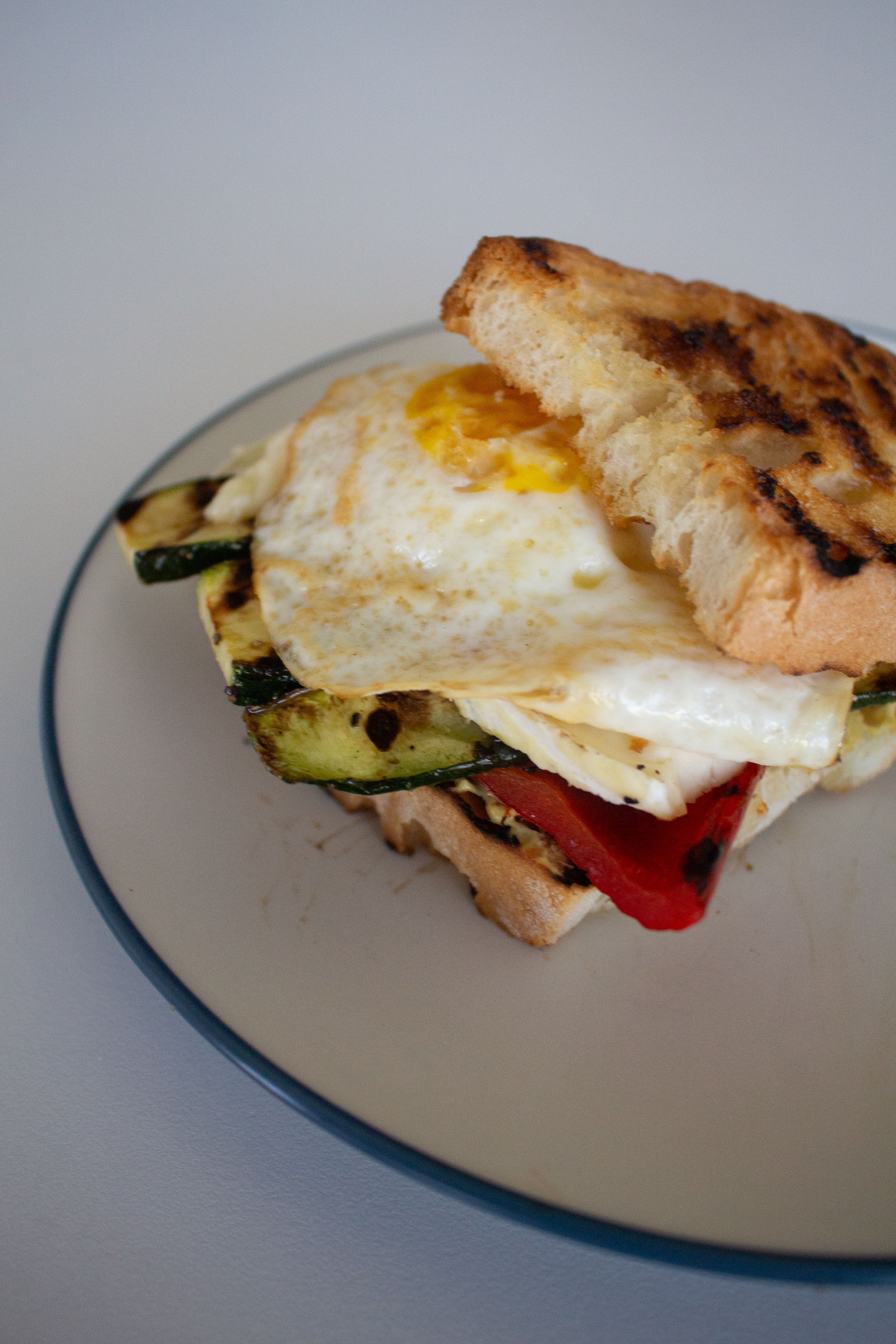 sandwich様4点おまとめページ Sandwiches!: More Than You've Ever Wanted to Know about Making and