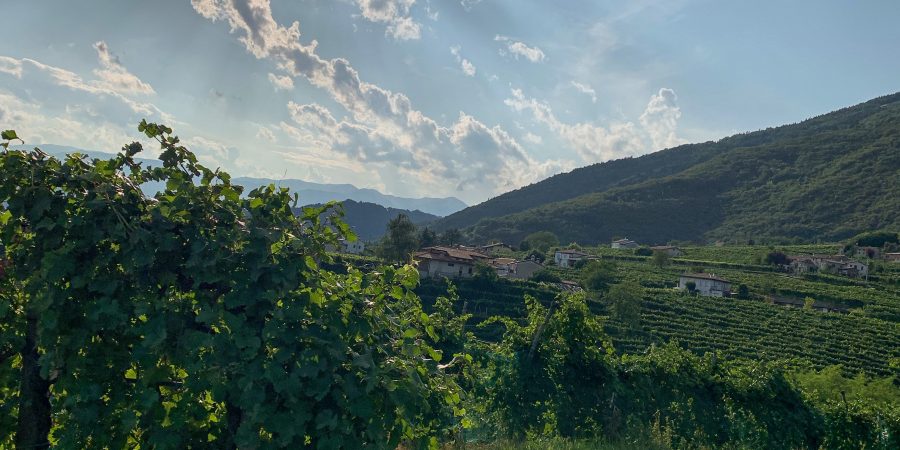With so many vineyards dotted throughout Prosecco Road, it can be hard to choose where to go. These are my favorites and all worth a visit!