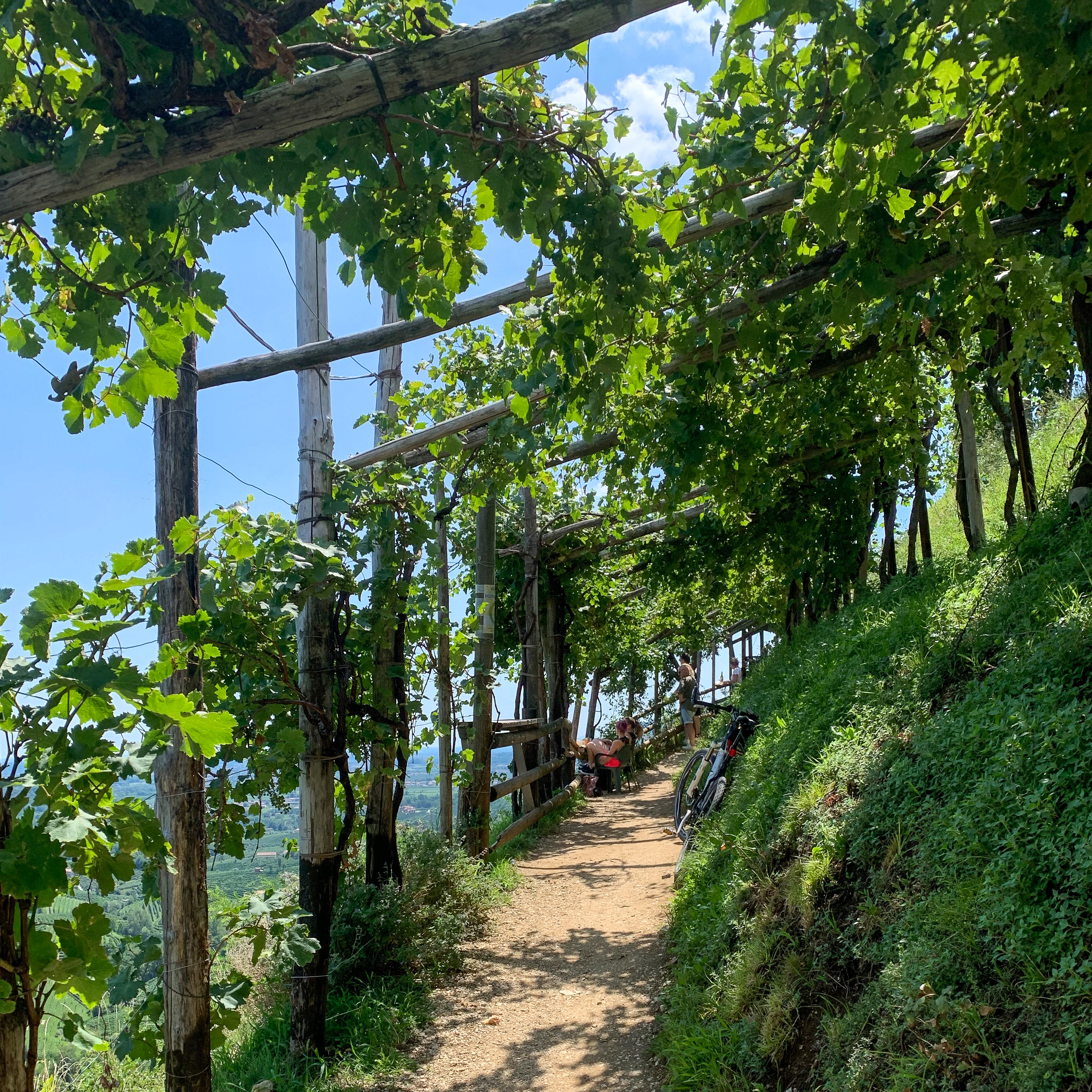 Prosecco Road vending machine