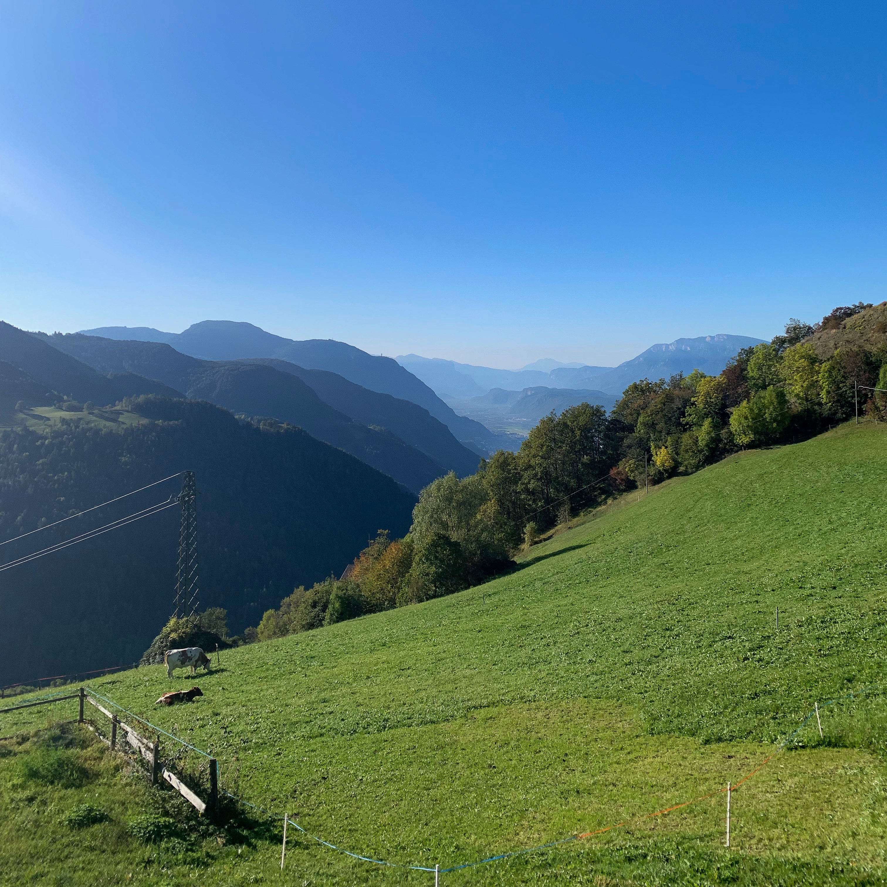 Bolzano is one of the classic jumping-off points for access to skiing and hiking in the Dolomites. Here are some of the best things to know before you go! 