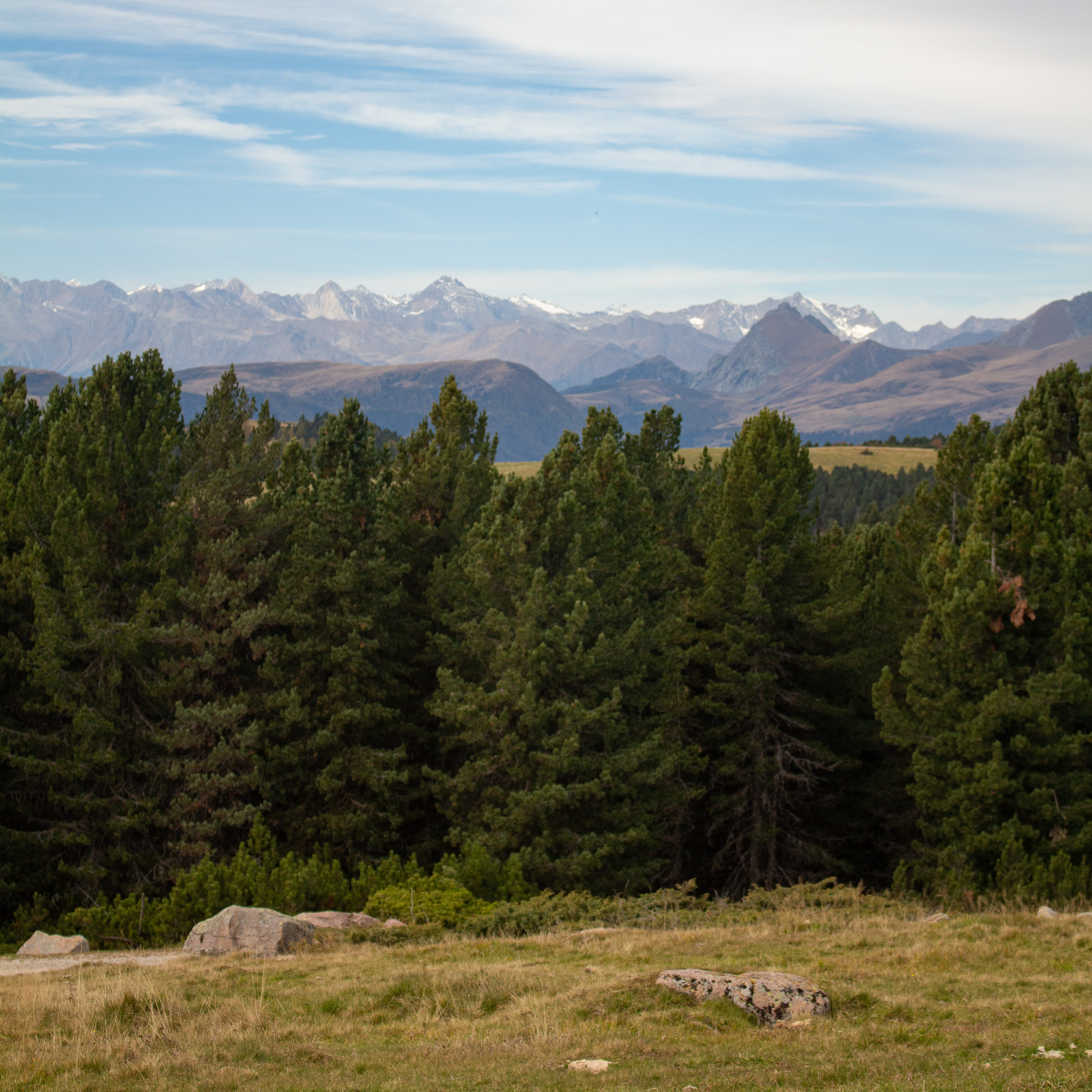 Bolzano is one of the classic jumping-off points for access to skiing and hiking in the Dolomites. Here are some of the best things to know before you go! 
