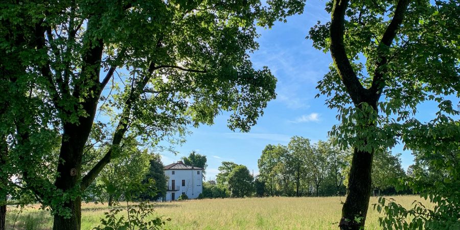 Italian life in quarantine has loosened a tiny bit! Here's the latest of Italy's phase two quarantine. | Teaspoon of Nose