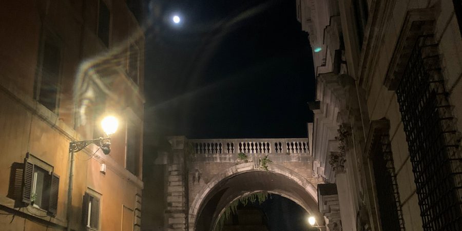 Want a new way to explore the Eternal City? Complete with passwords and secret doors, Rome speakeasies offer a fantastic way to check out local nightlife!