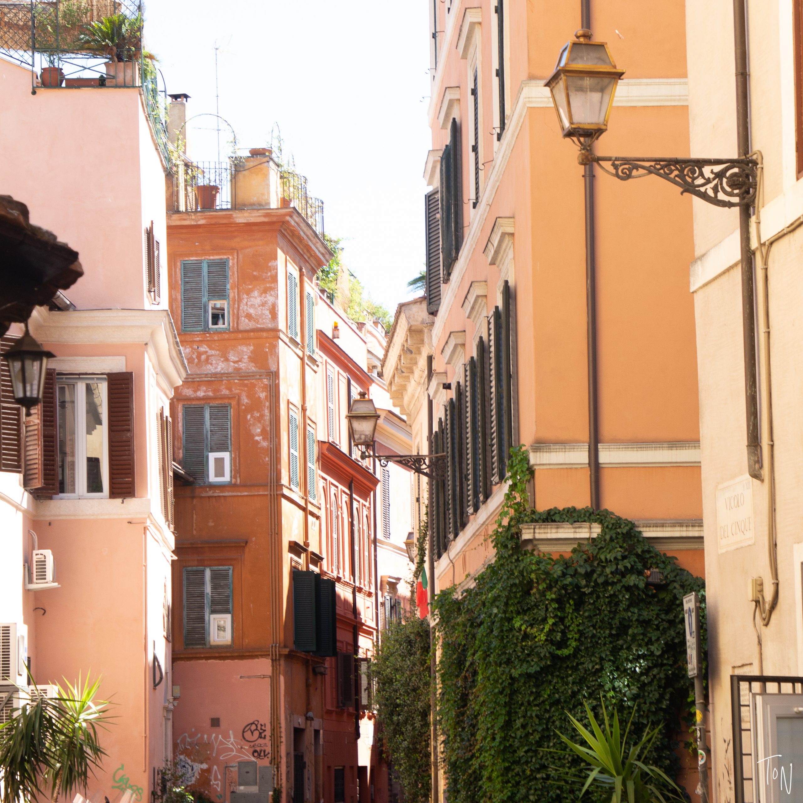 Rome's trastevere neighborhood
