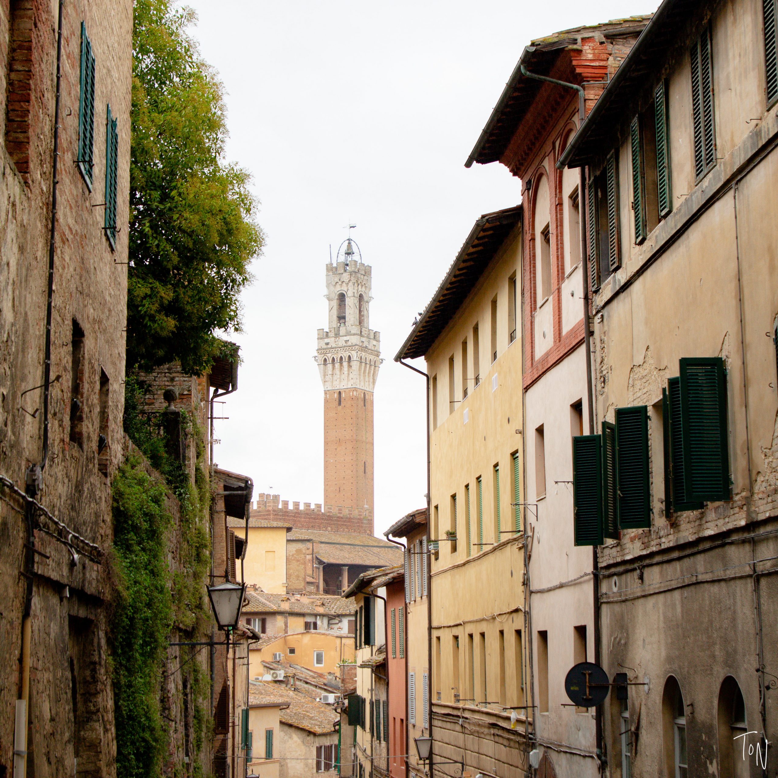 Your guide to Siena!